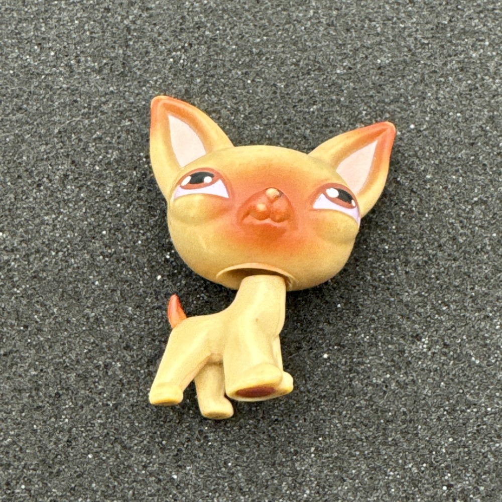 Littlest Pet Shop LPS #001 Rare Chihuahua Authentic